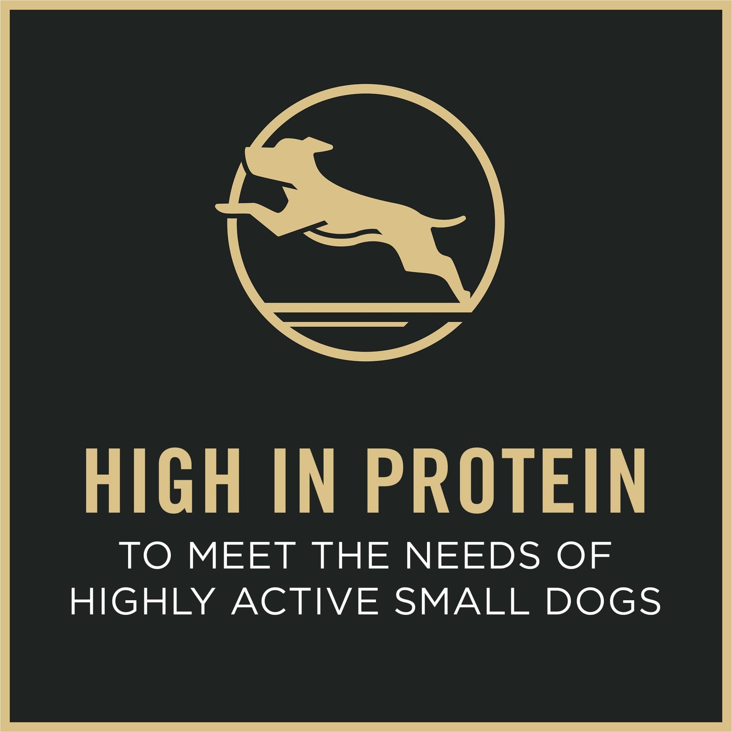 Purina Pro Plan Small Breed Dog Food – Chicken & Rice, 6 lb