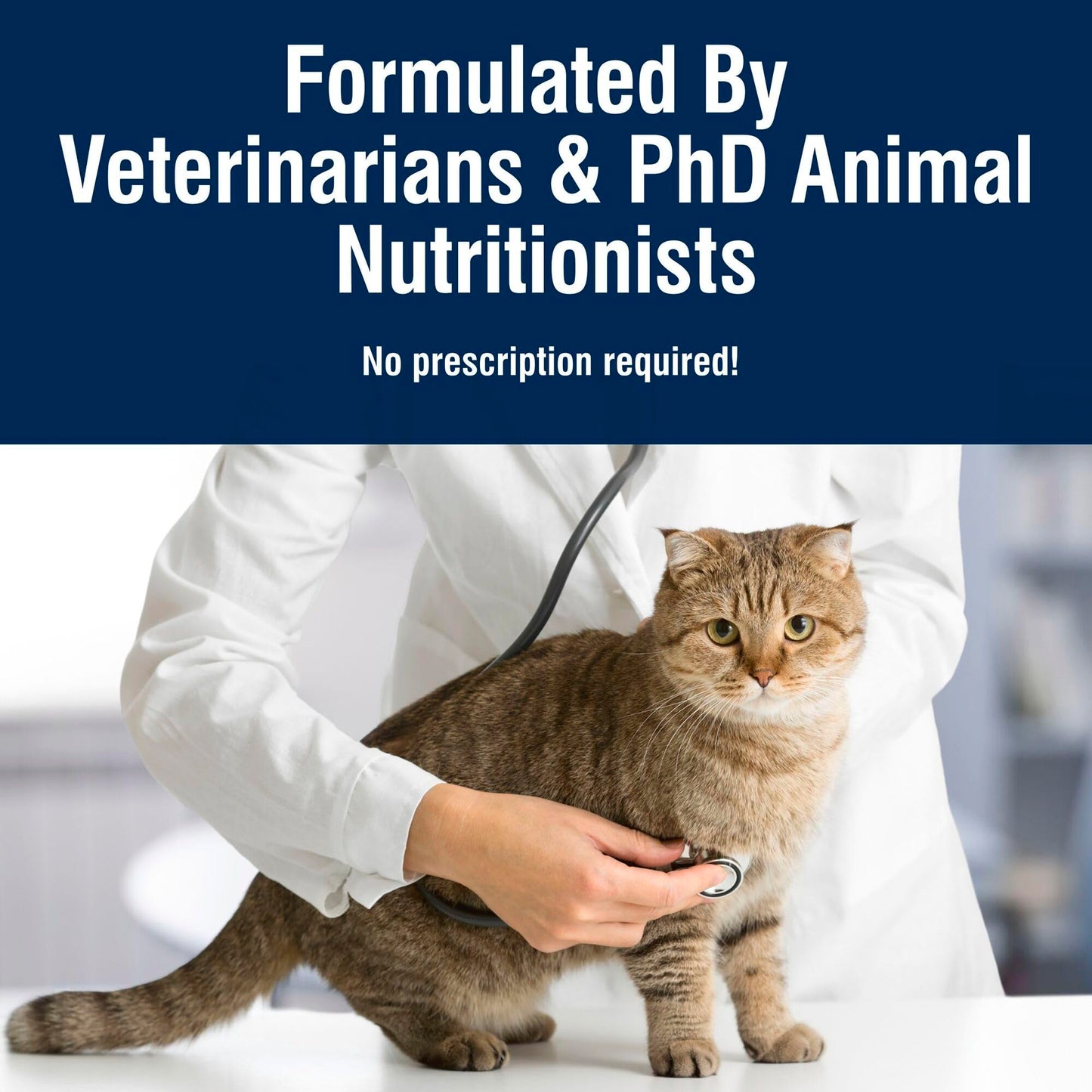 Blue Buffalo True Solutions Digestive Care Dry Cat Food – Chicken, 11 lb