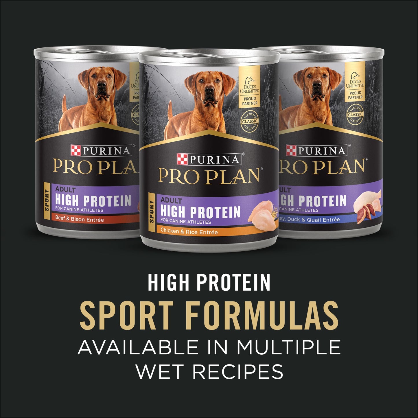 Purina Pro Plan Sport Performance Dog Food – Chicken & Rice, 37.5 lb