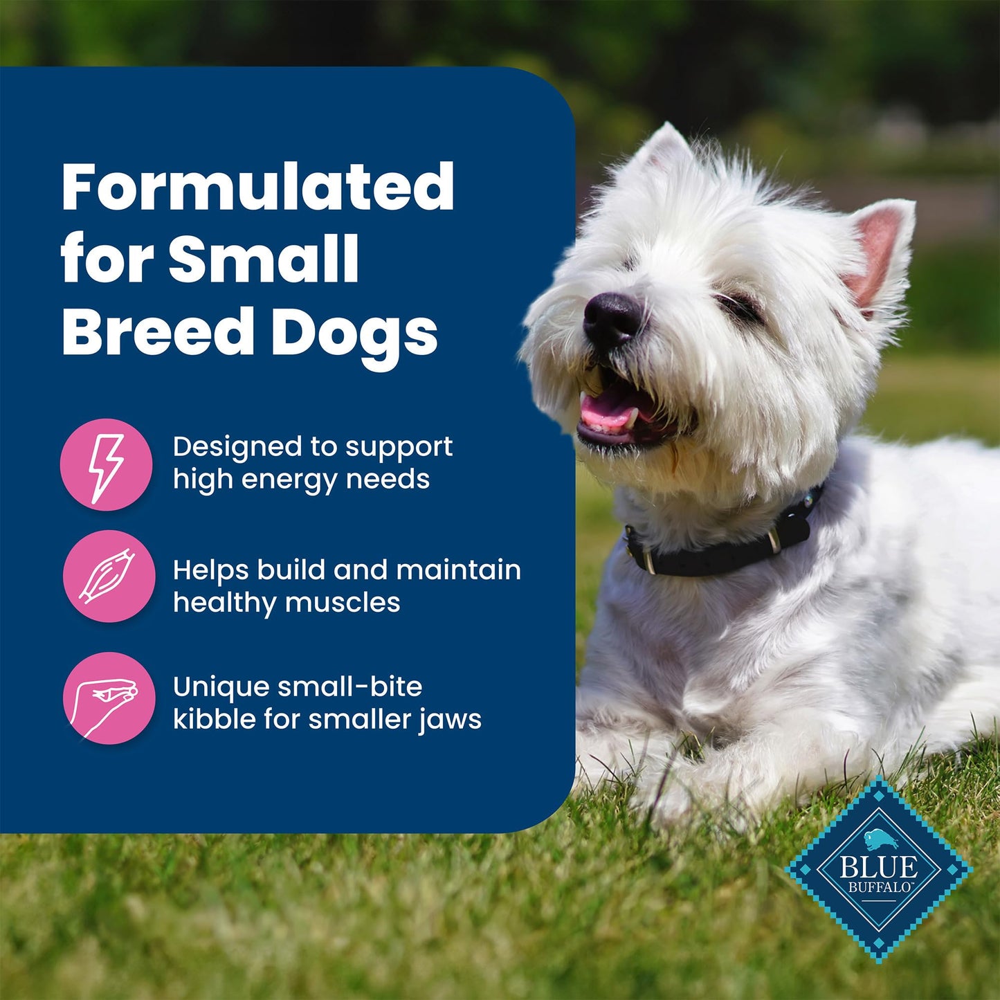 Blue Buffalo Life Protection Adult Small Breed – Chicken, 15 lb