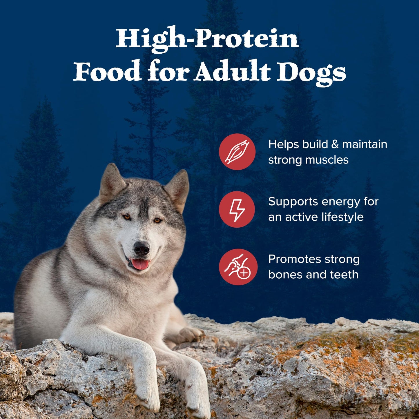 Blue Buffalo Wilderness Adult Dry Dog Food – Beef & Red Meat, 24 lb