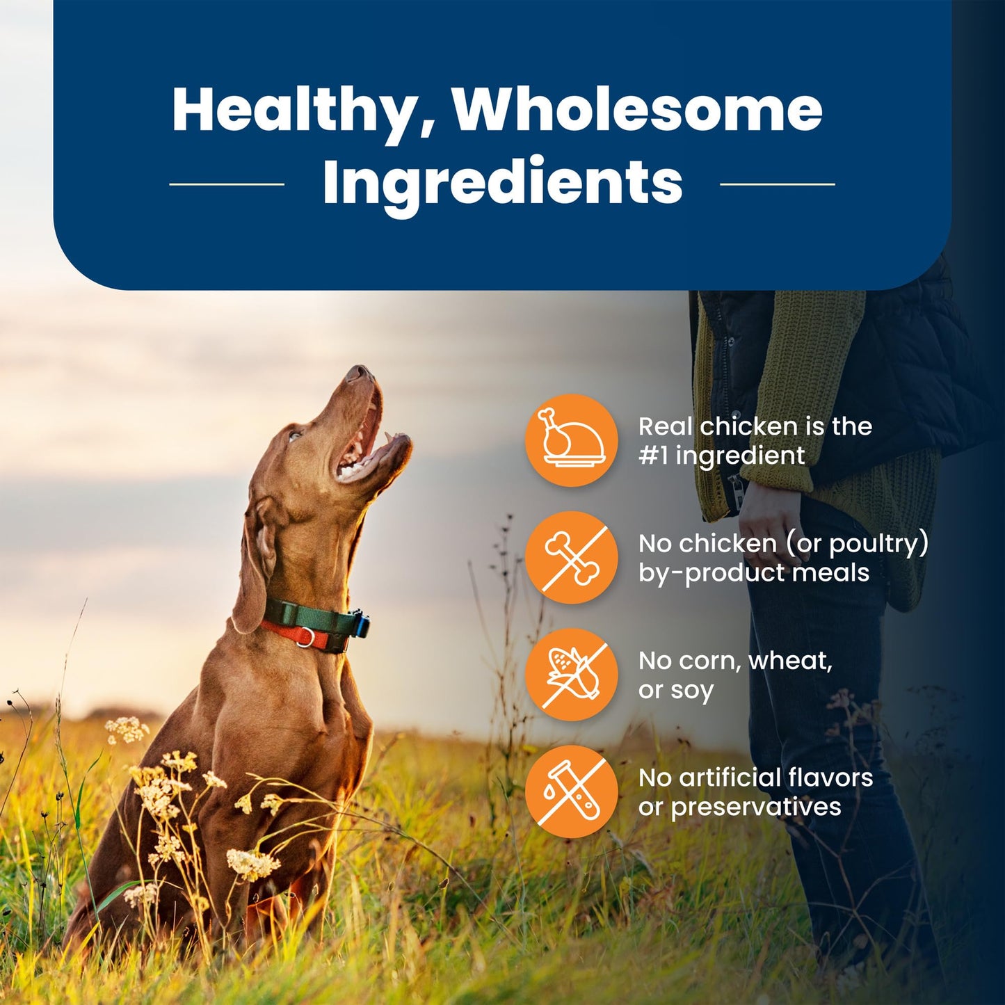 Blue Buffalo Life Protection Large Breed – Chicken, 30 lb