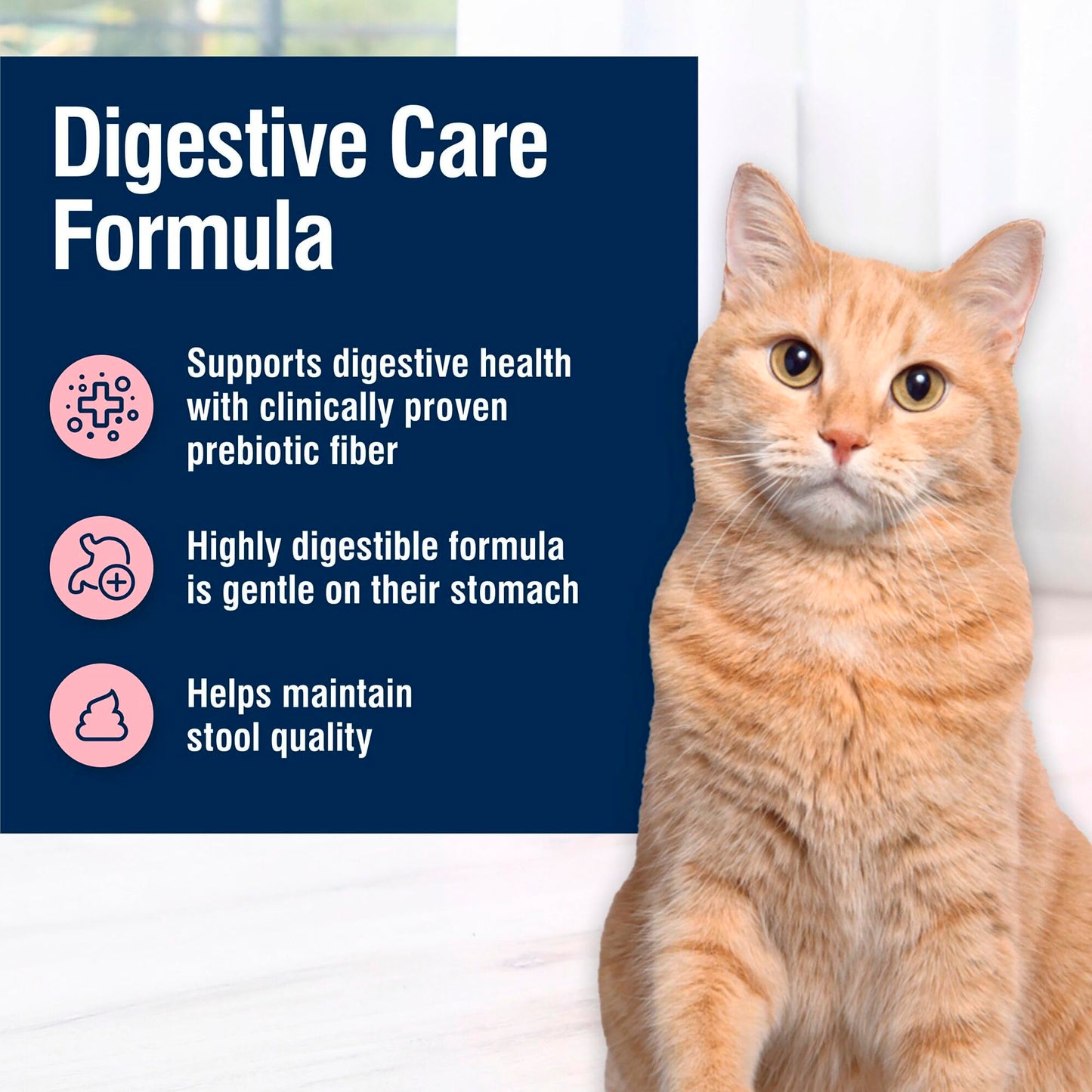 Blue Buffalo True Solutions Digestive Care Dry Cat Food – Chicken, 11 lb