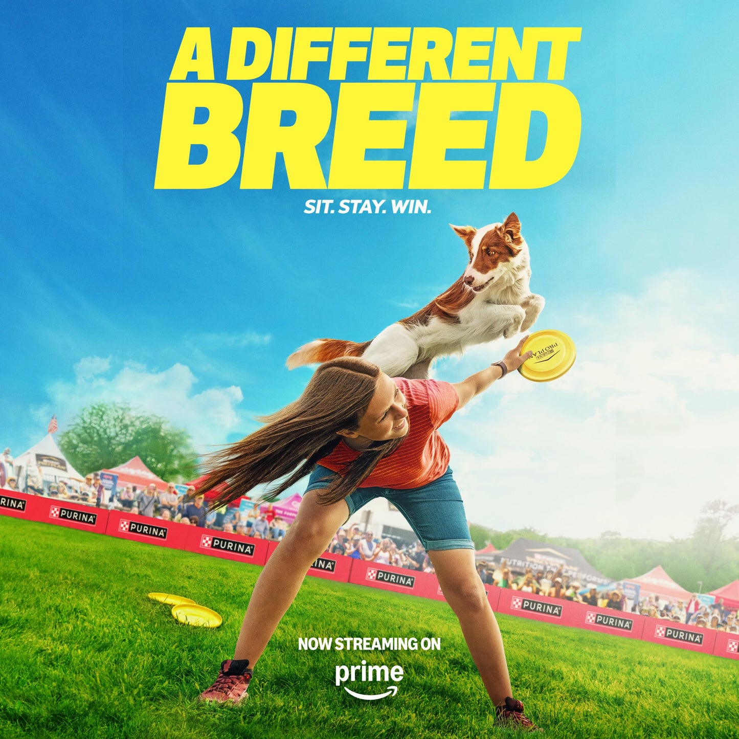 Purina Pro Plan Shredded Blend Dog Food – Chicken & Rice, 35 lb