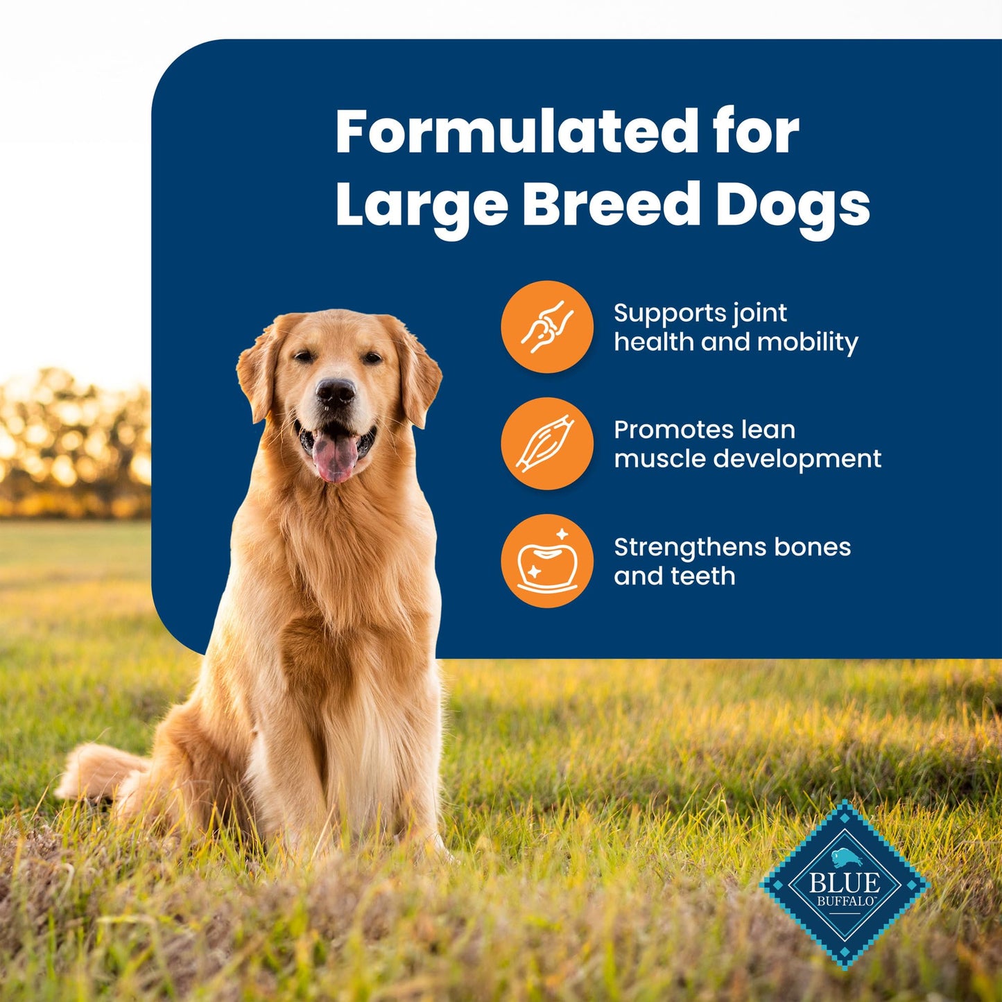 Blue Buffalo Life Protection Large Breed – Chicken, 30 lb