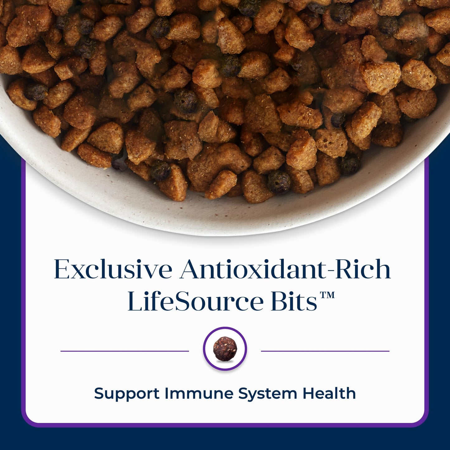 Blue Buffalo Basics Adult Dry Dog Food – Turkey, 24 lb