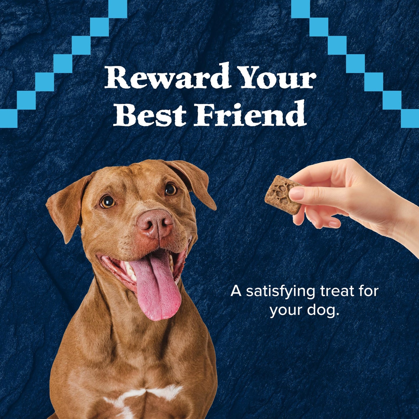 Blue Buffalo Wilderness Trail Treats High-Protein Duck Dog Biscuits – Grain-Free, 24 oz