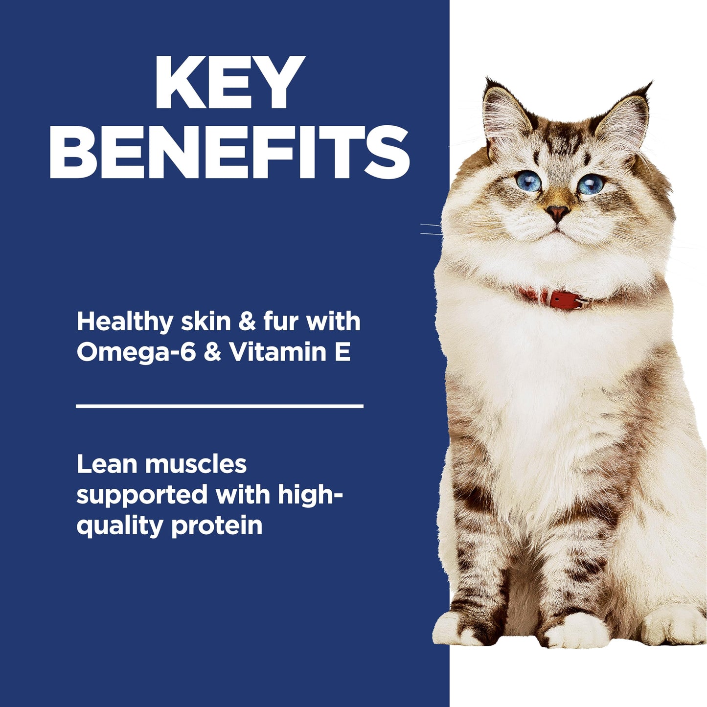Hill’s Science Diet Adult Cat Food – Chicken & Brown Rice, 7 lb